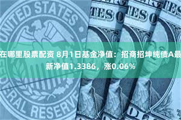 在哪里股票配资 8月1日基金净值：招商招坤纯债A最新净值1.3386，涨0.06%