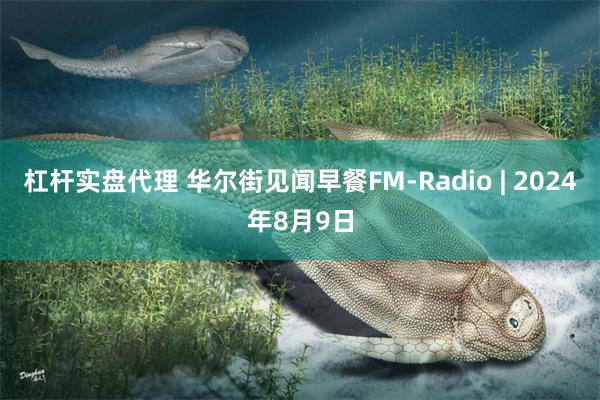 杠杆实盘代理 华尔街见闻早餐FM-Radio | 2024年8月9日