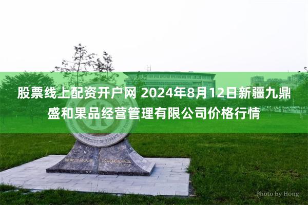 股票线上配资开户网 2024年8月12日新疆九鼎盛和果品经营管理有限公司价格行情