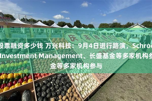 股票融资多少钱 万兴科技：9月4日进行路演，Schroder Investment Management、长盛基金等多家机构参与