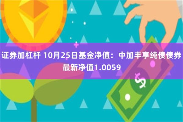 证券加杠杆 10月25日基金净值：中加丰享纯债债券最新净值1.0059