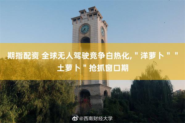 期指配资 全球无人驾驶竞争白热化,＂洋萝卜＂＂土萝卜＂抢抓窗口期