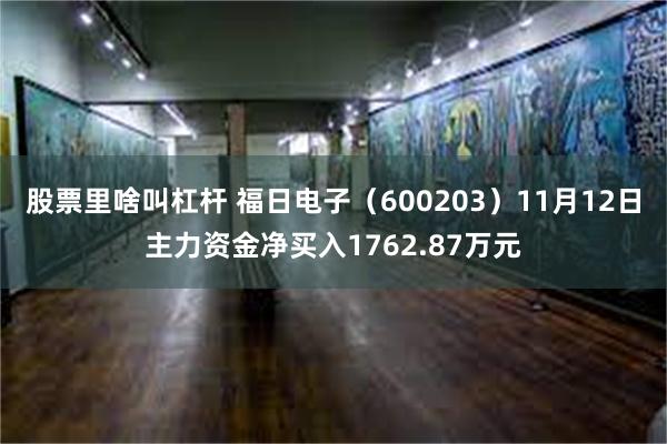 股票里啥叫杠杆 福日电子（600203）11月12日主力资金净买入1762.87万元