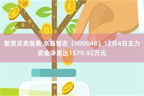 配资买卖股票 京基智农（000048）12月4日主力资金净卖出1579.92万元