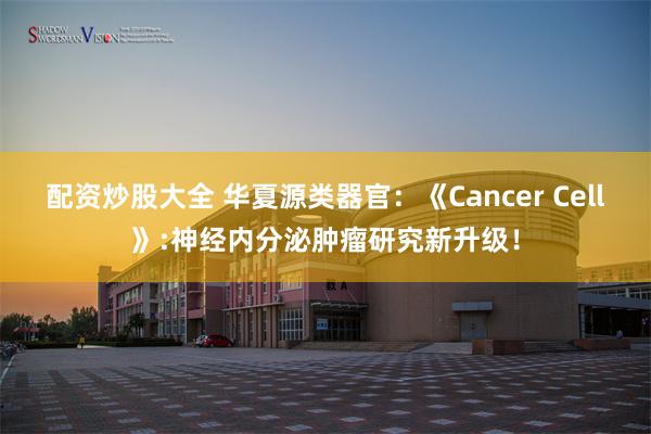 配资炒股大全 华夏源类器官：《Cancer Cell》:神经内分泌肿瘤研究新升级！