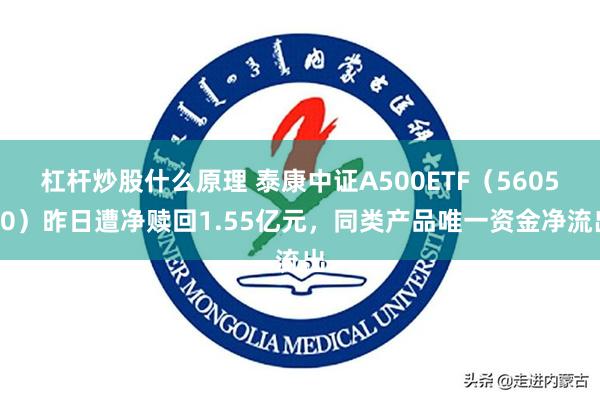 杠杆炒股什么原理 泰康中证A500ETF（560510）昨日遭净赎回1.55亿元，同类产品唯一资金净流出