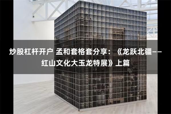 炒股杠杆开户 孟和套格套分享：《龙跃北疆——红山文化大玉龙特展》上篇