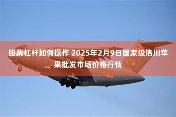 股票杠杆如何操作 2025年2月9日国家级洛川苹果批发市场价格行情